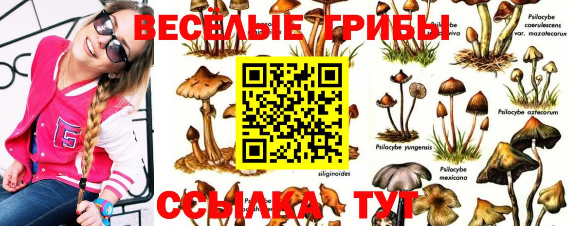 Галлюциногенные грибы Magic Shrooms  Вход с VPN  Мегион 