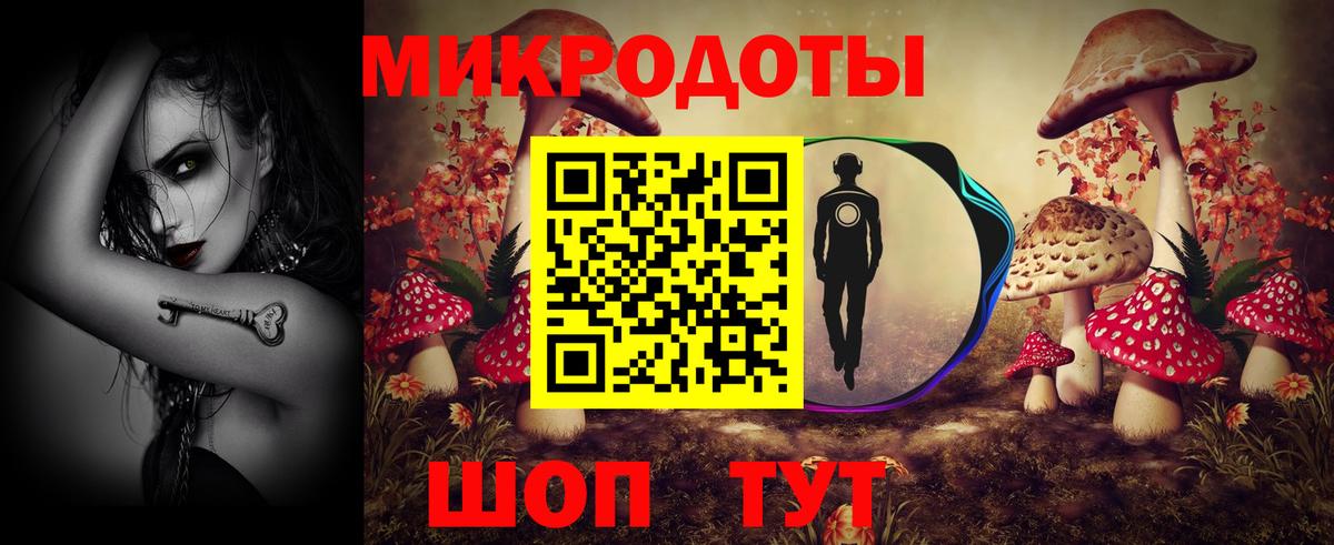 Псилоцибиновые грибы мицелий Мегион